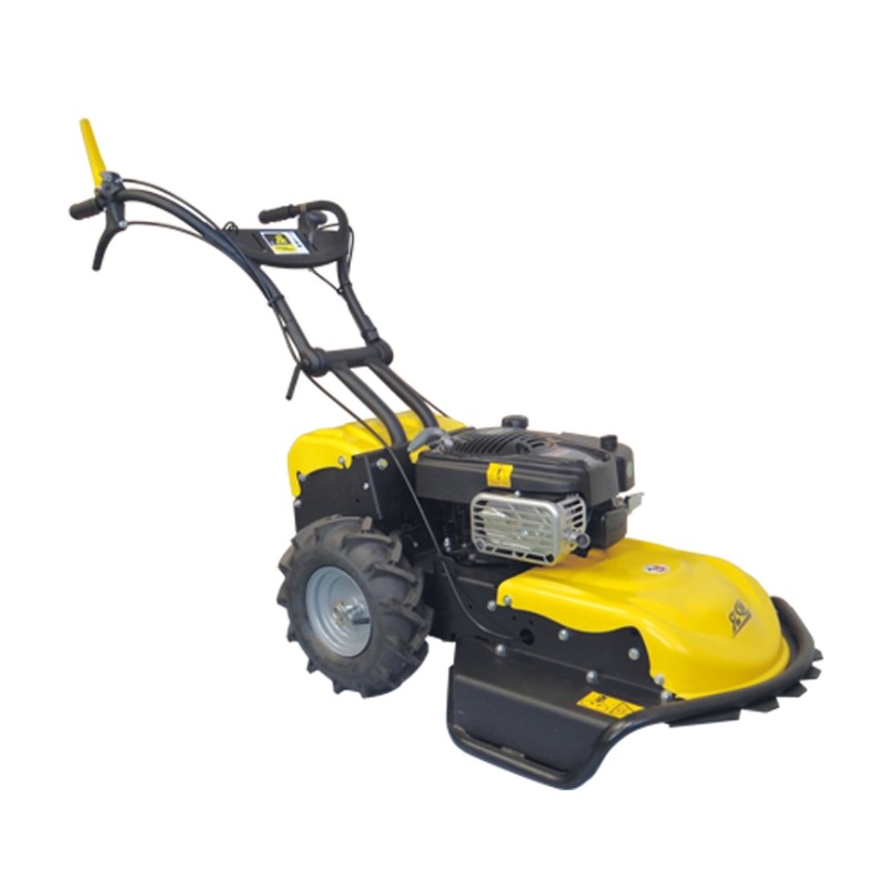 Wiesenmäher Roques et Lecoeur RL 115 B - 53 cm - Briggs & Stratton