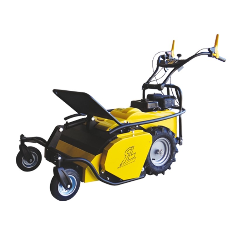 Schlegelmäher Roques et Lecoeur RL 460 B - 60 cm - Briggs & Stratton
